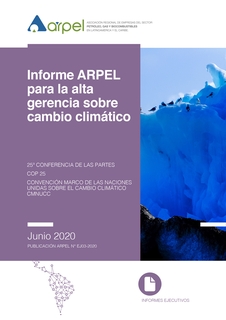 Informe Arpel para la alta gerencia sobre Cambio Climático 2020