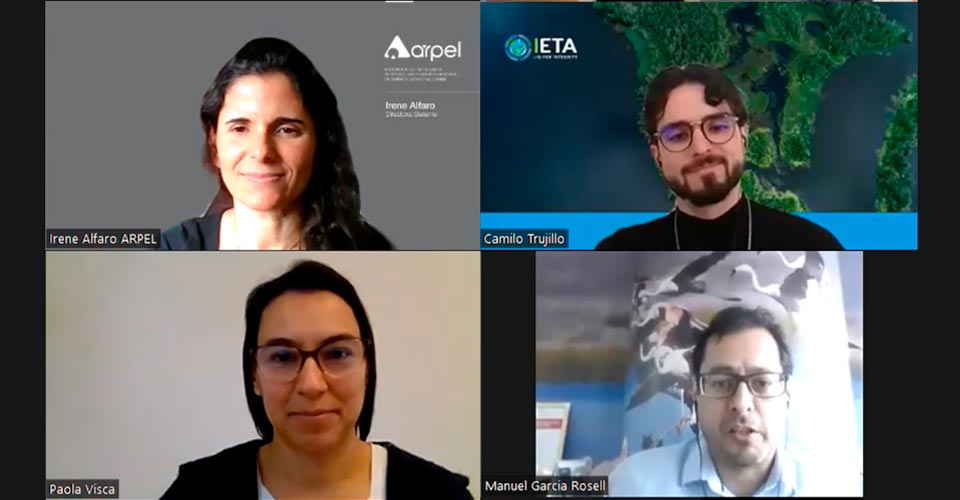 Virtual Workshop on “Voluntary Carbon Markets” Organized by Arpel Energy Transitions Committee