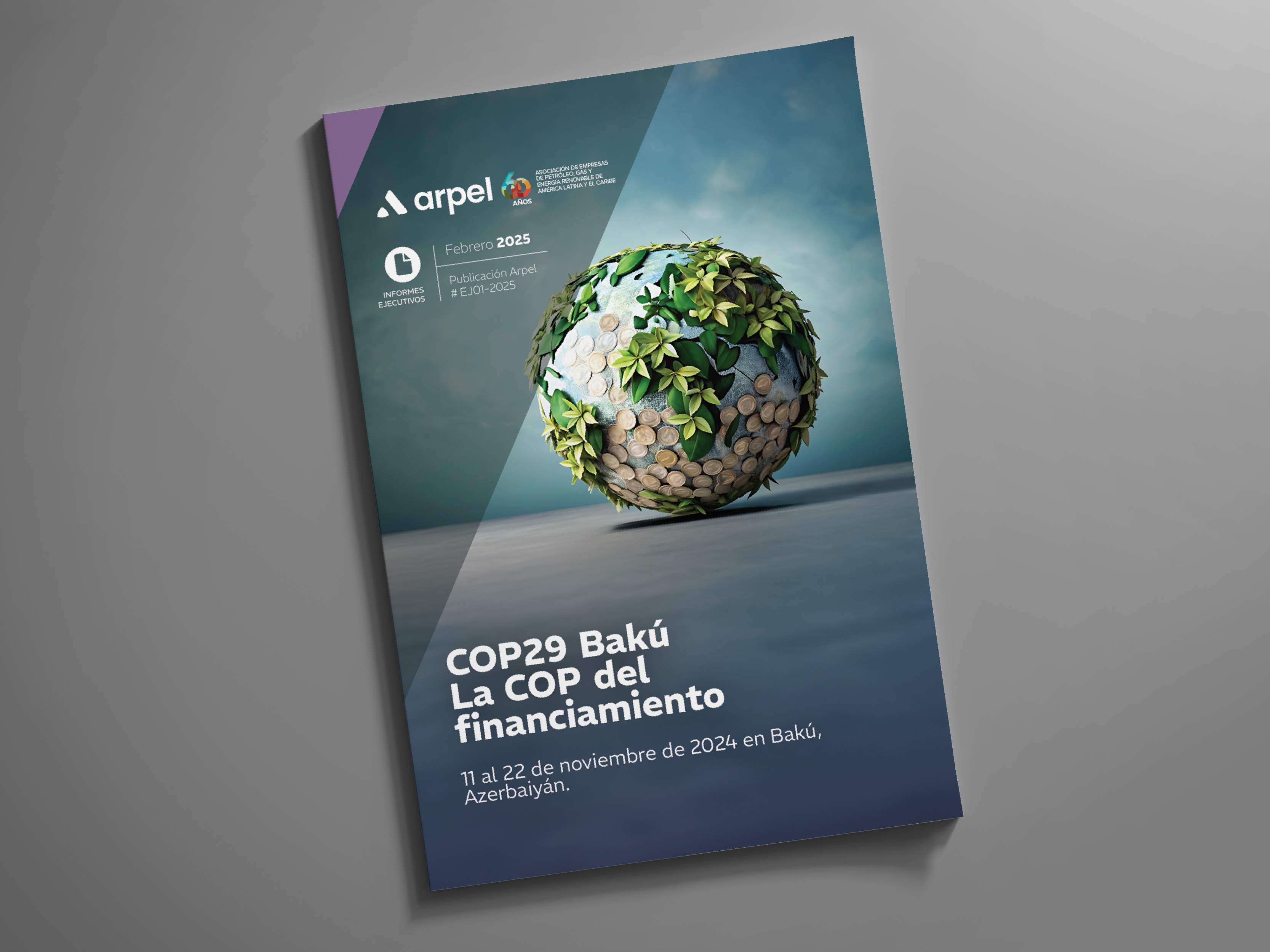 COP29_noticias_esp