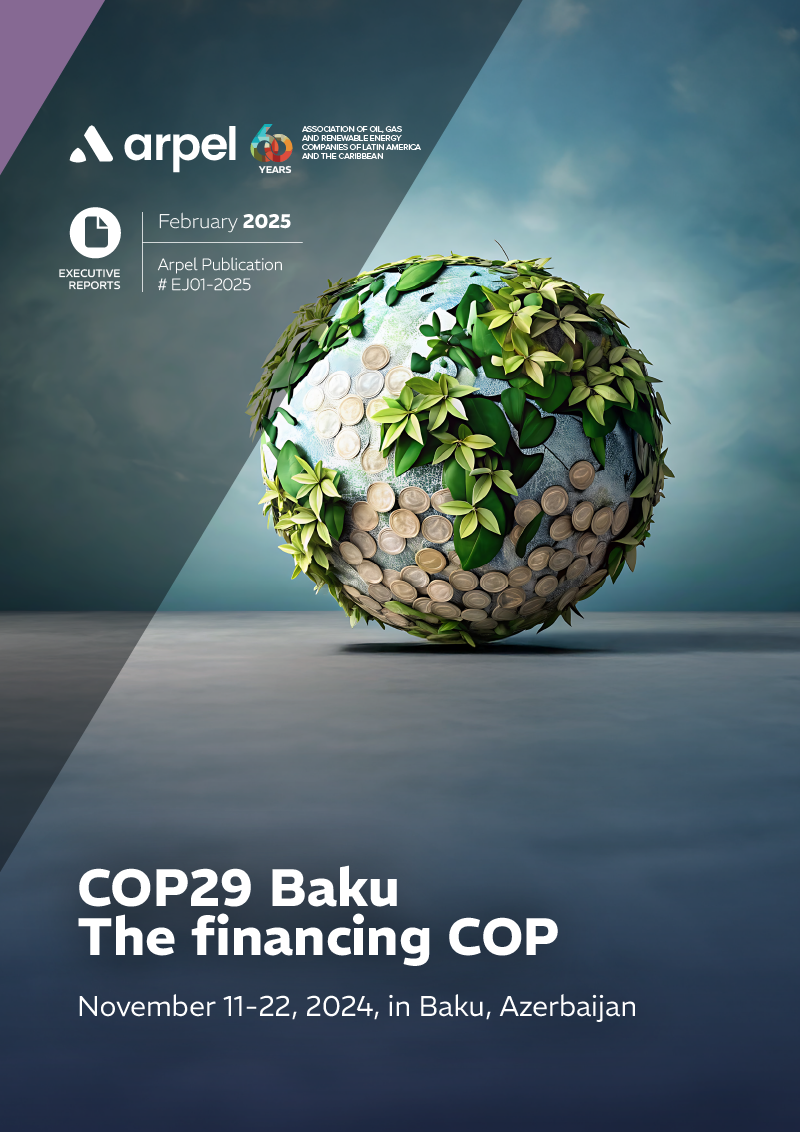 Arpel Executive Report on Climate Change: COP29 Baku