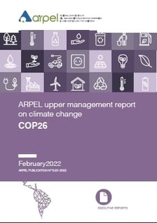Informe Arpel para la alta gerencia sobre Cambio Climático 2021